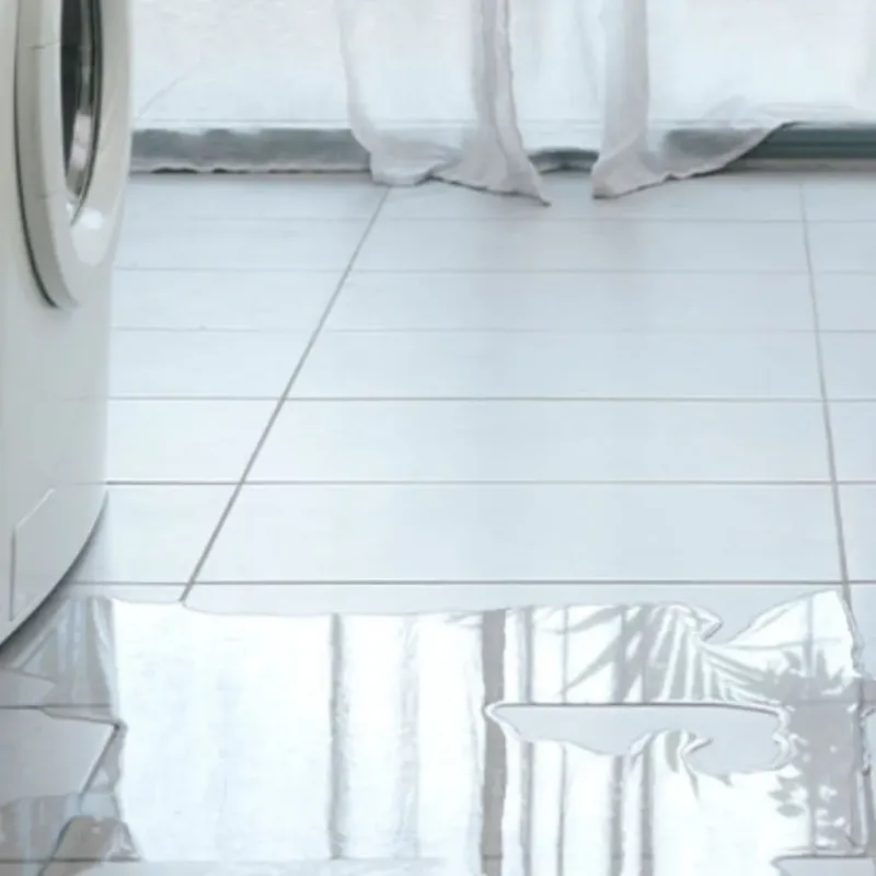 Appliance Leak Cleanup in Saint Croix County, WI