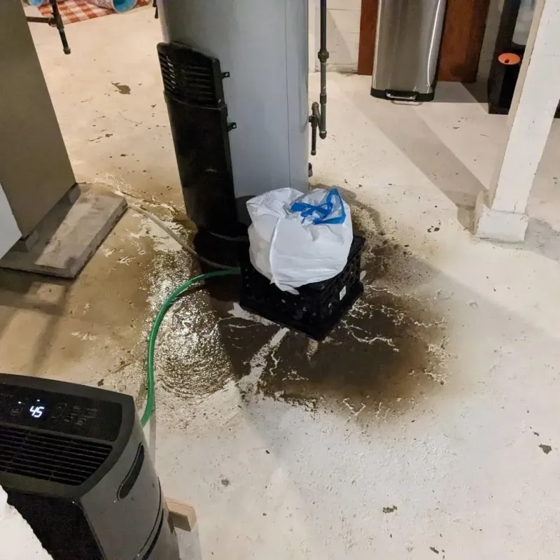 Sewage Backup Cleanup Service in Saint Croix County, WI